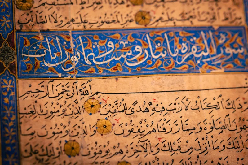 Tinte, Gold und Pergament: Meisterbriefe des deutschen Handwerks als Zeugnisse kalligraphischer Hochkunst